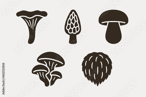 Wild Mushroom Collection – Forest Fungi, Edible and Poisonous Species Vector Set