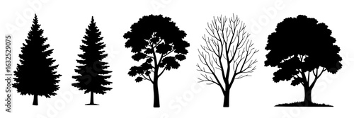 Set of five monochrome tree silhouettes: two pine trees, deciduous tree, bare tree, and leafy tree with grass. Black vector illustrations of different tree shapes for nature, landscape, and forest des