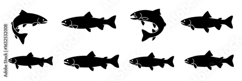 Salmon fish vector icon set. Black silhouettes of jumping and swimming salmon. Monochrome illustration collection for fishing, seafood, wildlife designs. Simple, flat design elements.
