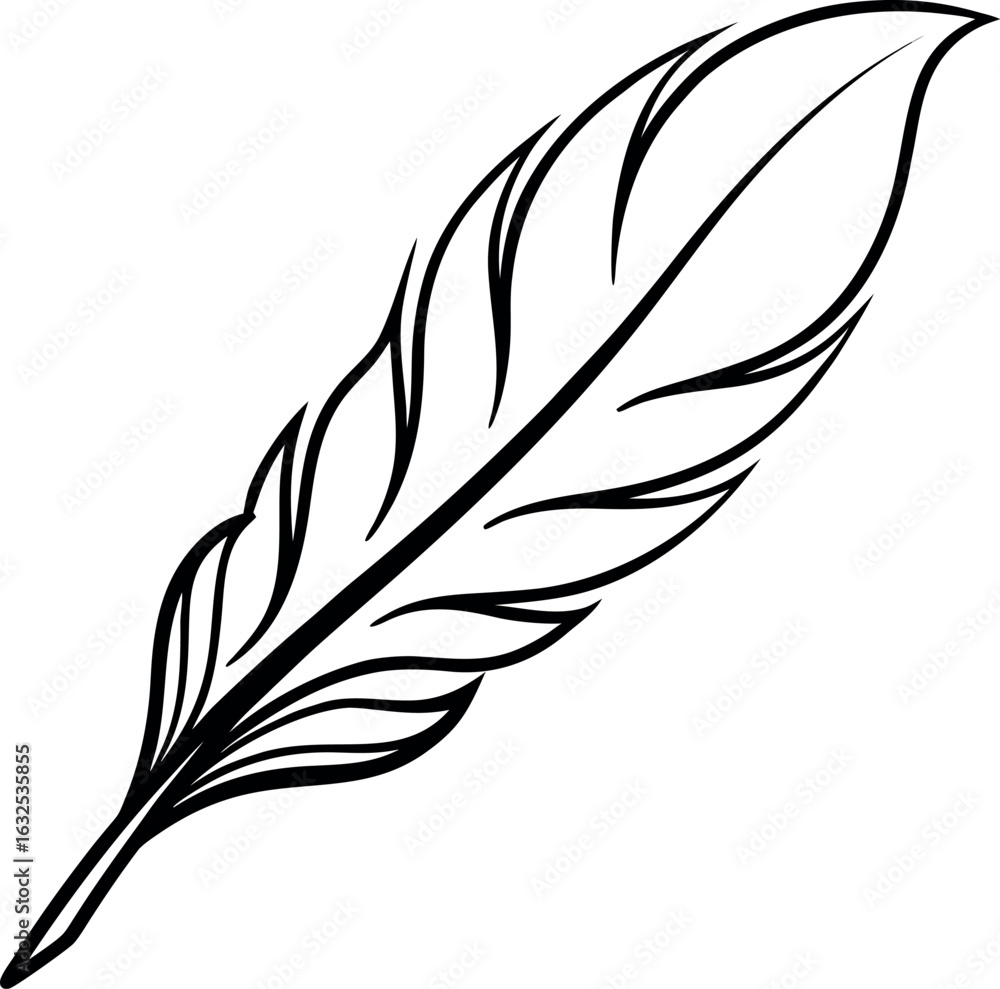 Obraz premium Feather quill ink drawing graphic simple vector line art illustration