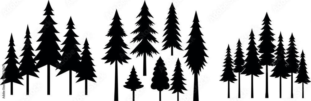 Fototapeta premium Forest Silhouette: A majestic forest of silhouetted pine trees stands in stark contrast against a vibrant backdrop, evoking a sense of natural beauty and serene.