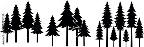 Silhouette of Pine Trees: A cluster of majestic pine trees stands in silhouette against the horizon, offering a striking image of nature's grace and resilience.