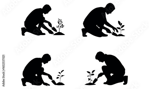 Silhouettes of a man planting small trees for environmental care and green initiatives
