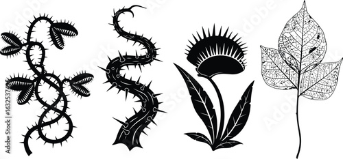 Collection of spiky botanical elements and venus flytrap silhouette