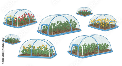Garden cloche with undercover plants in contemporary flat design