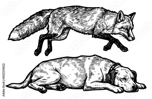 A Fox Jumping Over a Lazy Sleeping Dog Black and White Outline Line Art Drawing Illustration