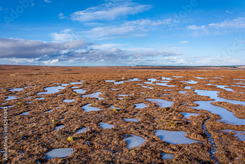 Winter frozen peat bog landscape with snow and mountains