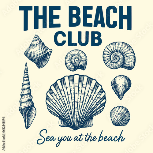 The beach club seashell illustration vintage art