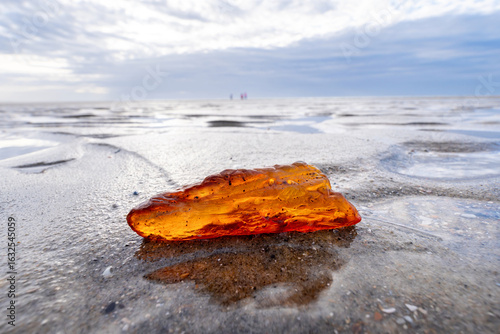 amber found in the mudflat