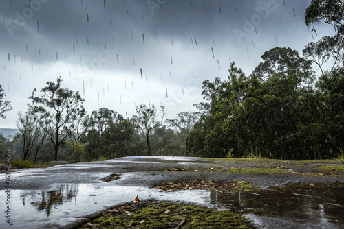 Rainfall in a natural area