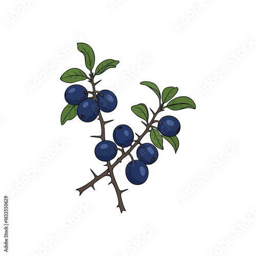 (Sloe Berries on Thorny Branches. A captivating digital artwork of mature blackthorn fruit, known for its deep blue hue, alongside verdant foliage. Symbolizes wild growth and resilience.)