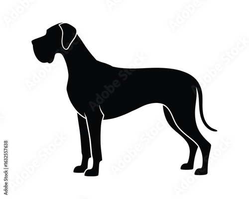 Silhouette of a great dane dog standing majestically