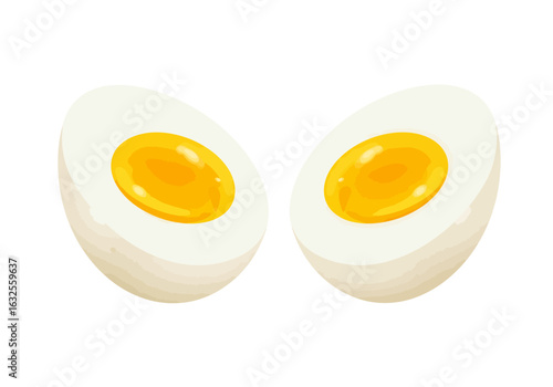 Two Halves of a Hard-Boiled Egg Yellow Yolk Visible.