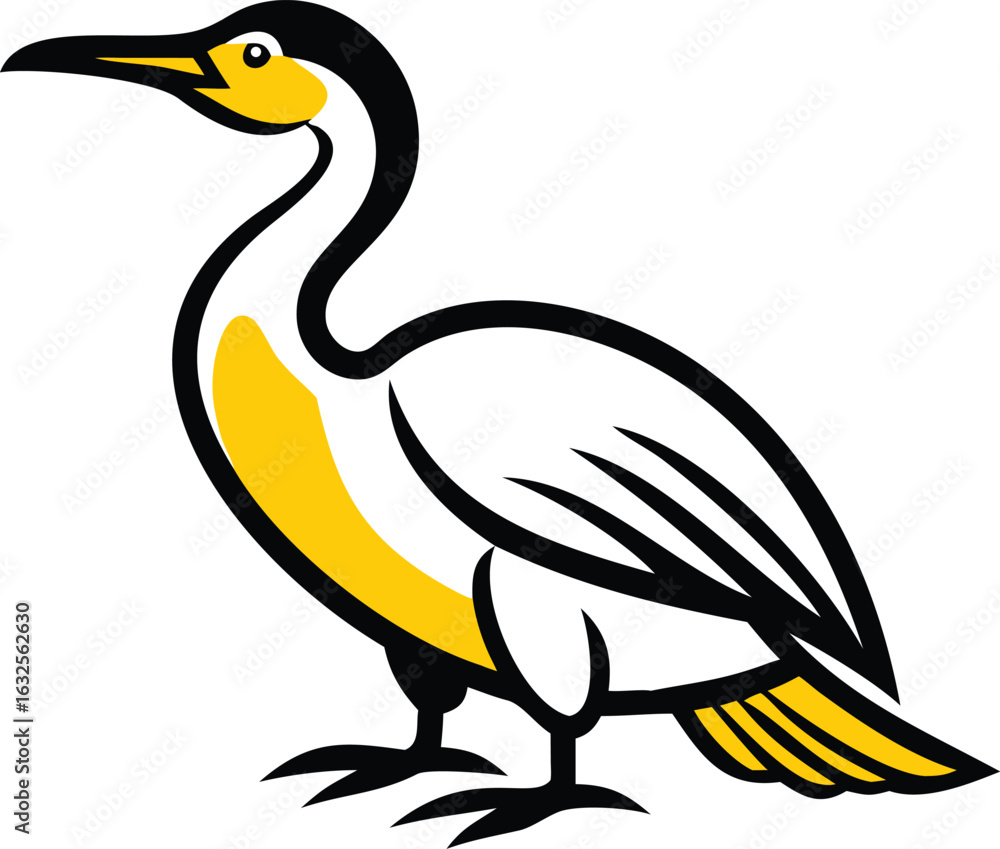 Obraz premium Cormorant bird showing its distinct black, white and yellow plumage stands calmly over white