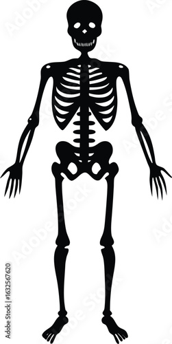 black silhouette a skeleton on white background.eps