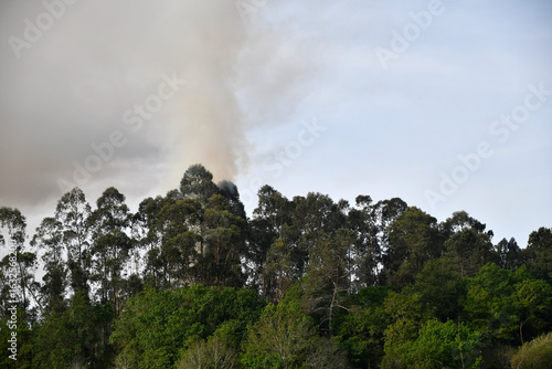 Início de incêndio