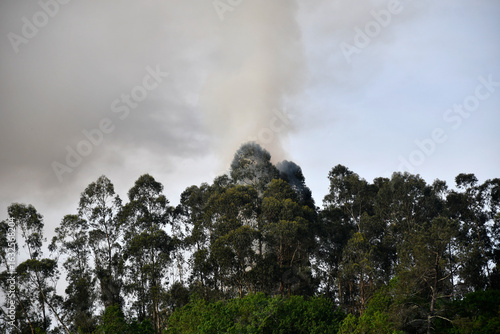 Início de incêndio