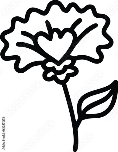Black single flower with wavy petals stands out clearly on a white backdrop