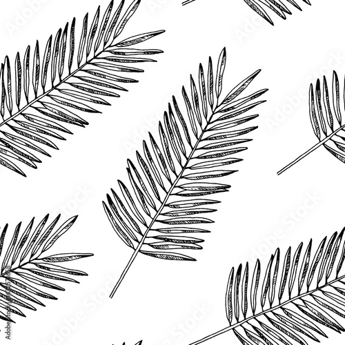 Palm leaf silhouette seamless pattern, vector leaves isolated on white background