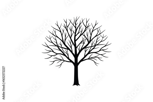 A stark and detailed black silhouette of a bare deciduous tree with intricate branching patterns against a clean white background evoking a sense of winter or dormancy silhouette