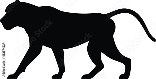 Baboon silhouette is walking on a plain background, its tail extended