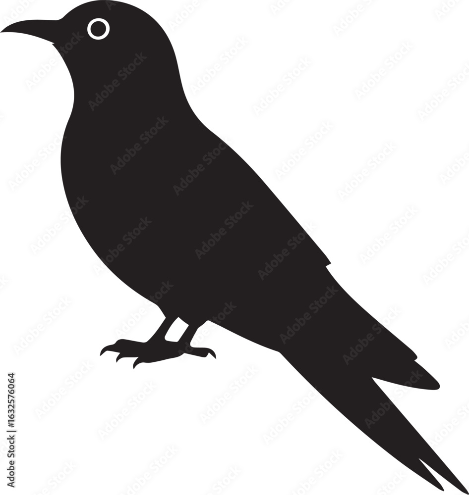 Fototapeta premium Vector illustration of a black crow silhouette on a white background with a beak and feather details