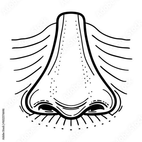 Illustration of a human nose isolated on white background, closeup view