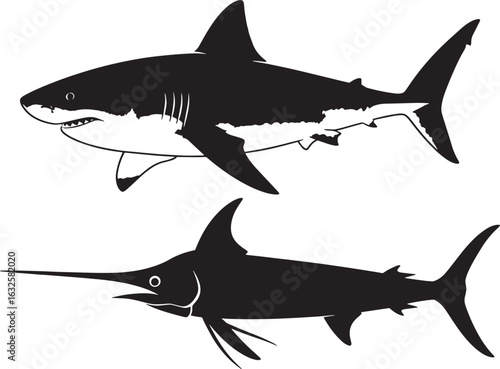 Black Silhouettes of Great White Shark and Swordfish in Profile View ,Highlighting Distinctive Marine Animal Features in Simple Graphic Illustration with Bold Clean Outlines