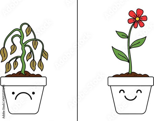Sad plant versus happy plant flower growth comparison guide