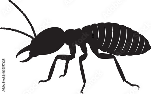 Termite Control, Identification, Infestation Signs & Treatment Solutions,Black and White Silhouette of termite 