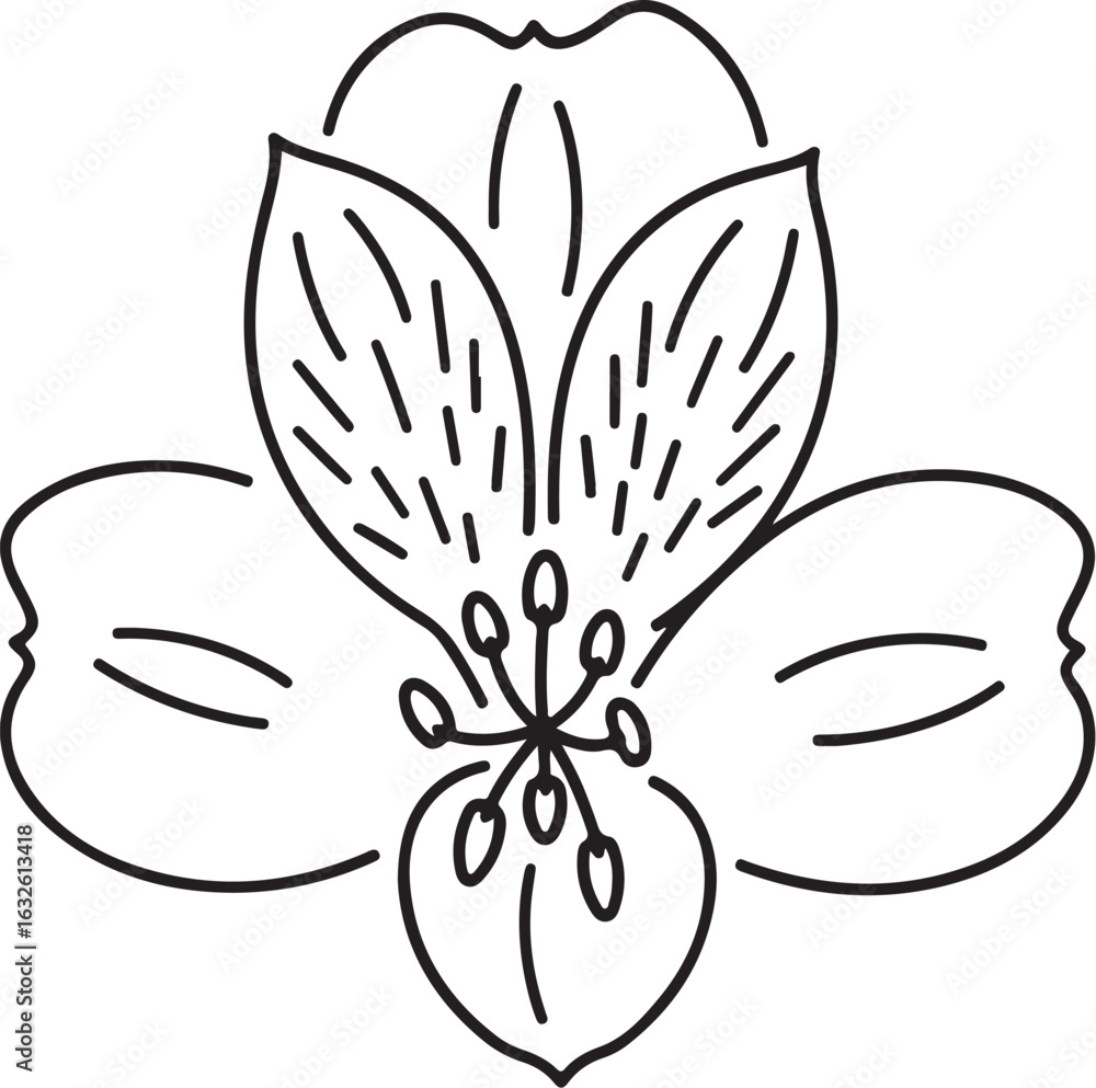 Stylized Black and White Flower Illustration with Detailed Petals and Stamens Stylized Black and White Flower Illustration with Detailed Petals and Stamens