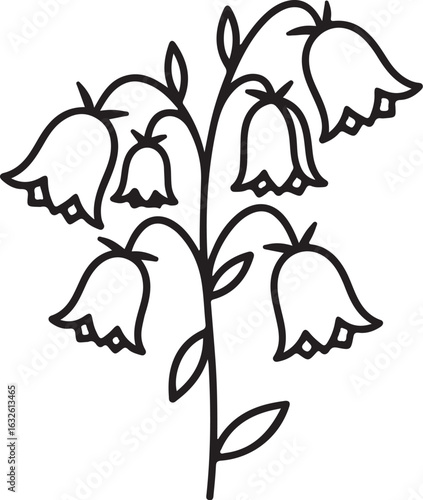 Stylized black line art of a bellflower plant with hanging, scalloped blossoms.