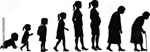 Female life cycle silhouettes, generational woman icons, editable vector artwork, aging stages, black figures set, identity progression illustration