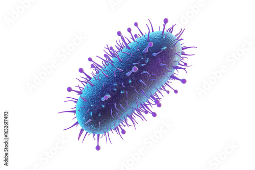 Detailed 3D model of bacteria with flagella isolated PNG