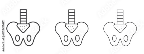 Pelvis icon in Line Art Style for Design collection