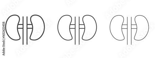 Kidney icon in Line Art Style for Design collection