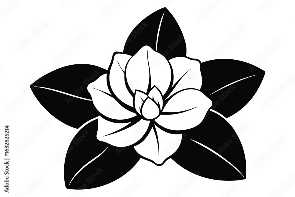 Fototapeta premium Stylized white camellia bloom with solid black leaves evokes botanical elegance on white