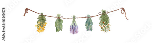  Different herbs drying hanging on a rope. Chamomile, blue tansy, lavender, sage, lemon balm watercolor isolated on white. High quality art for cards, packages, folk medicine recipes, herbal design