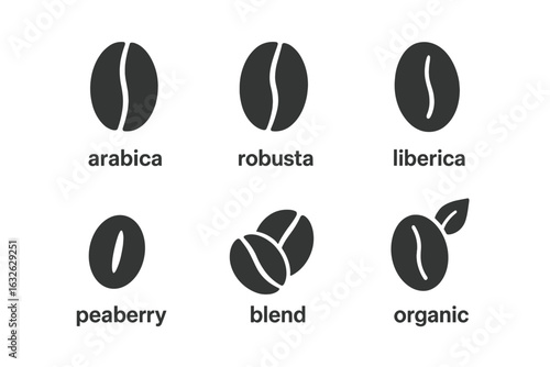 Coffee bean vector icon set. Solid glyph symbols of different coffee varieties like arabica, robusta, liberica, peaberry, blend, and organic. Infographic element for cafe.