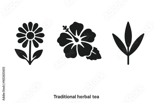 Traditional Herbal Tea Icons Set with Solid Filled Chamomile Flower, Hibiscus Bloom, Rooibos Leaf, Natural Medicinal Infusions, Organic Tea Plants Vector Illustration on Transparent Background