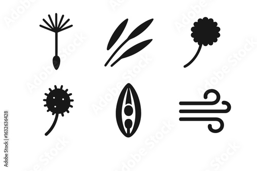Weed Seed Vector Icon Set. Solid Filled Dandelion, Grass, Burr, Fluffy Seeds, Seed Pod Bursting, Wind Dispersal. Botanical Nature Seeds, Plant Propagation, Allergen, Airborne, Transparent Background.