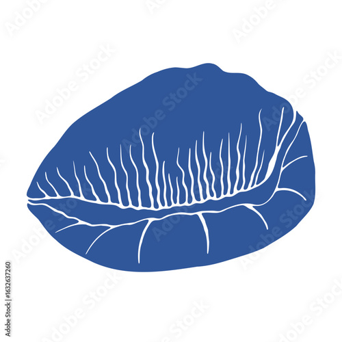 Outline sea shell silhouette isolated on white background. Vector hand drawn icon illustration for fabric design, poster prints, cosmetic packaging, stationery, label templates, logo use