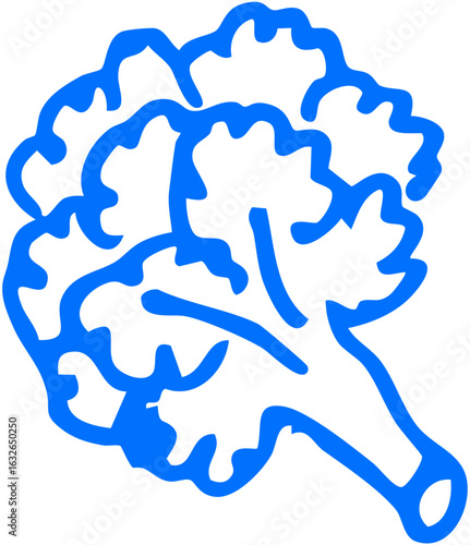 A detailed cauliflower floret with a central stalk and branching tips, healthy veggie design