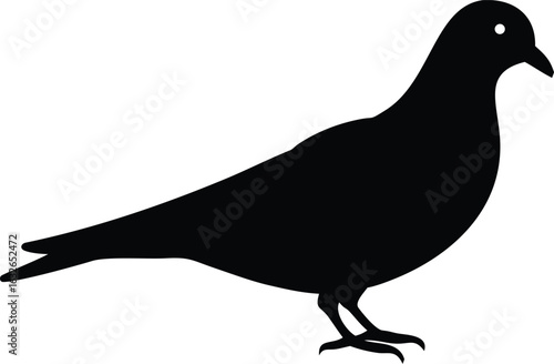 Pigeon Bird Silhouette Isolated on White Background Stock
