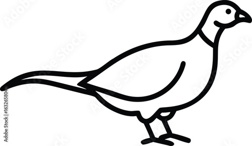 Pheasant Outline Isolated Against White Background Stock