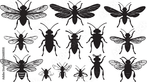 Assorted Wasp Silhouettes Black and White Entomology Graphic Design Insects Diversity Shapes Isolated Insects Biodiversity Insectarium