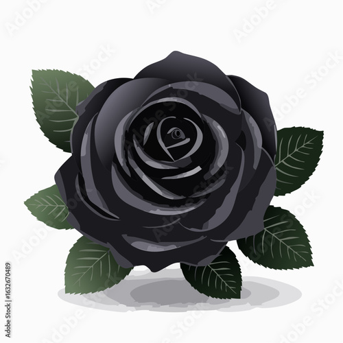Schwarze Rose