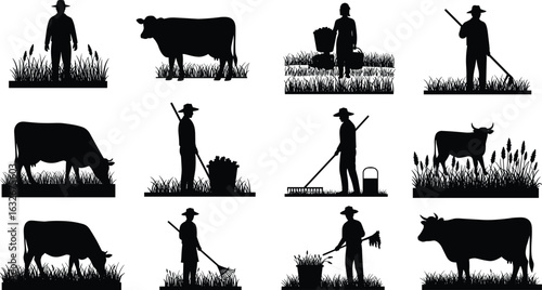 Farmer silhouette working on farm, cow grazing in grass, agricultural labor, rural farming, harvest, livestock, field rake, farming tools