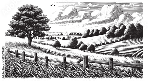 Detailed Black and White Drawing of	countryside landscape with rolling hills and a fence in Black and White