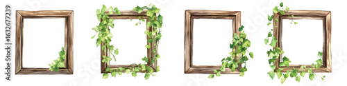 Set watercolor wooden square frames shape borders with green creeper leaves isolated on transparent background